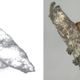 Image for article titled A guide to the ravenous hellbeast that is the carnivorous caterpillar